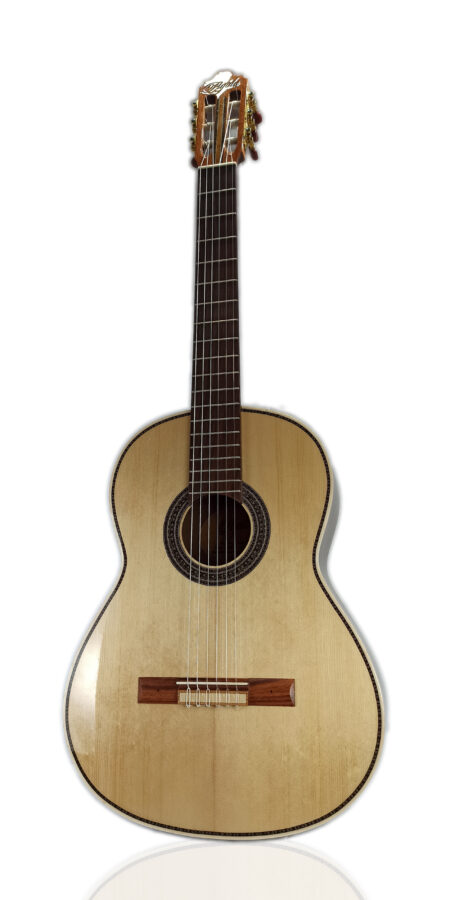 Guitarra Modelo: Yachay - M100